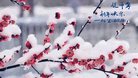 Published on 1/26/2017 法轮功,大陆大法弟子恭祝师尊新年好(26条)