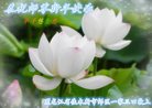 Published on 1/26/2017 ֹ,½󷨵ӹףʦ(26)
