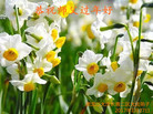 Published on 1/26/2017 ֹ,½󷨵ӹףʦ(26)