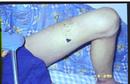 Published on 3/8/2001 ͼƬǿȶ֫
