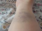 Published on 11/30/2004 		ɽƽͽݲС(ͼ)
