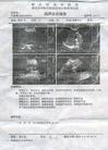 Published on 6/14/2004 ̨󷨵ӺᱻȺĸϢͼ
