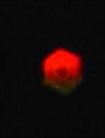 Published on 11/18/2002 UFOΡ١й(ͼ)
