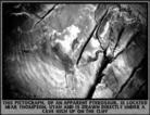 Published on 6/12/2004 ˵еʵʷǰ֮տʷǰͼ

