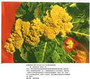 Published on 9/17/2000 ձ˻̬
