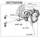 Published on 5/30/2000 ɹ壨ĿڵԽӰ