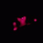Published on 2/21/2003 ǮX-ԶNGC346ŷ״ţͼ
