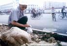 Published on 8/3/2003 ȳͻϮͺءܳһ
