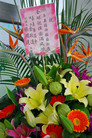 Published on 3/11/2009 Ϻ䶯ɽǡͼ