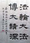 Published on 5/13/2010 ֹ,ѡǡ鷨ִ󷨲 - ִ - minghui.org