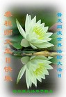 Published on 5/14/2011 ֹ,½󷨵Ӻʦ𻪵߷ִգ33 - ִ
