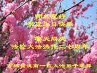 Published on 5/14/2012 ֹ,½󷨵ӹش󷨺鴫ʮ(124) - ִ
