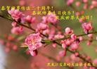 Published on 5/14/2012 ֹ,½󷨵ӹش󷨺鴫ʮ(124) - ִ

