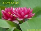 Published on 5/12/2011 ֹ,󷨵Ӻʦ𻪵߷ִգ260أ - ִ
