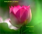Published on 5/12/2011 ֹ,󷨵Ӻʦ𻪵߷ִգ260أ - ִ
