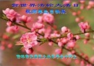Published on 5/11/2013 ֹ,д󷨵ӹʦ𻪵߷ִգ25
