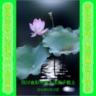 ���ֹ�,�ɶ��󷨵��ӹ������編�ִ�����ʦ�𻪵�(24��)
