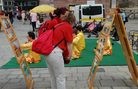 法轮功,维也纳欢庆世界法轮大法日（图） - 法轮大法明慧网 - minghui.org