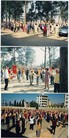 Published on 5/14/2010 ֹ,ѡǡʷͼƬϵķֹ뷨 - ִ - minghui.org