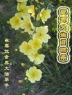 Published on 5/12/2011 ֹ,½󷨵Ӻʦ𻪵߷ִգ267أ - ִ
