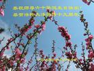 Published on 5/12/2011 ֹ,½󷨵Ӻʦ𻪵߷ִգ267أ - ִ
