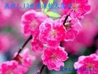 Published on 5/12/2011 ֹ,½󷨵Ӻʦ𻪵߷ִգ267أ - ִ

