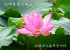 Published on 5/12/2011 ֹ,½󷨵Ӻʦ𻪵߷ִգ267أ - ִ
