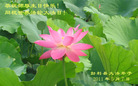 Published on 5/12/2011 ֹ,½󷨵Ӻʦ𻪵߷ִգ267أ - ִ
