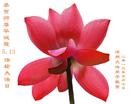 Published on 5/13/2013 ֹ,ӱ󷨵ӹʦ𻪵߷ִ(33)
