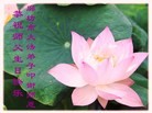 Published on 5/11/2013 ֹ,ȷ󷨵ӹʦ𻪵߷ִգ24
