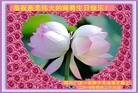 ֹ,½ϴ󷨵ӹʦ𻪵編ִգ150أ - ִ - minghui.org