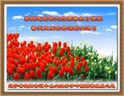 ֹ,󷨵Ӻʮһ編ִգ130أ - ִ - minghui.org