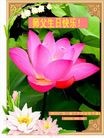 ֹ,½ϴ󷨵ӹʦ𻪵編ִգ150أ - ִ - minghui.org
