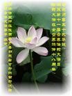 Published on 5/12/2010 法轮功,被中共非法劫持的大法弟子恭贺师尊华诞暨世界法轮大法日 - 法轮大法明慧网 - minghui.org