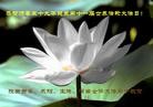 ֹ,½󷨵ͬʮһ編ִ - ִ - minghui.org