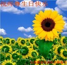 ֹ,󷨵ʮһ編ִգ150أ - ִ - minghui.org