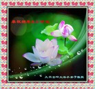 Published on 5/13/2010 ֹ,СӾףʦ𻪵 - ִ - minghui.org