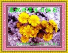 Published on 5/13/2010 ֹ,½󷨵ӹʦ𻪵200أ - ִ - minghui.org