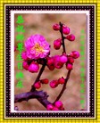 Published on 5/13/2010 ֹ,½󷨵ӹʦ𻪵200أ - ִ - minghui.org