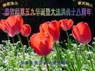 Published on 5/13/2010 ֹ,޴󷨵ӹʦ𻪵ߴ󷨺鴫ʮ - ִ - minghui.org