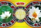 ֹ,½󷨵ӹʦ𻪵200أ - ִ - minghui.org