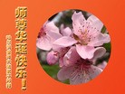 ֹ,½󷨵ӹʦ𻪵200أ - ִ - minghui.org