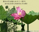 ֹ,½󷨵ӹʦ𻪵200أ - ִ - minghui.org