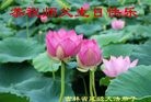 Published on 5/14/2010 ֹ,½󷨵Ӻʦ𻪵編ִգţ170أ - ִ - minghui.org