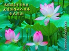 Published on 5/12/2010 ֹ,󷨵ӹʦ𻪵200 - ִ - minghui.org