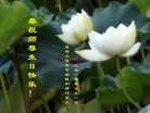ֹ,½ϴ󷨵ӹʦ𻪵編ִգ150أ - ִ - minghui.org