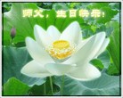 Published on 5/12/2010 ֹ,½󷨵Ӻʦ𻪵編ִգ100أ - ִ - minghui.org