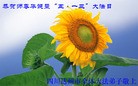 ֹ,½ϴ󷨵ӹʦ𻪵編ִգ150أ - ִ - minghui.org