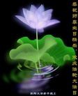 ֹ,д󷨵ӹʦ𻪵編ִգ150أ - ִ - minghui.org