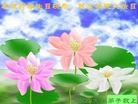 ֹ,д󷨵ӹʦ𻪵編ִգ150أ - ִ - minghui.org